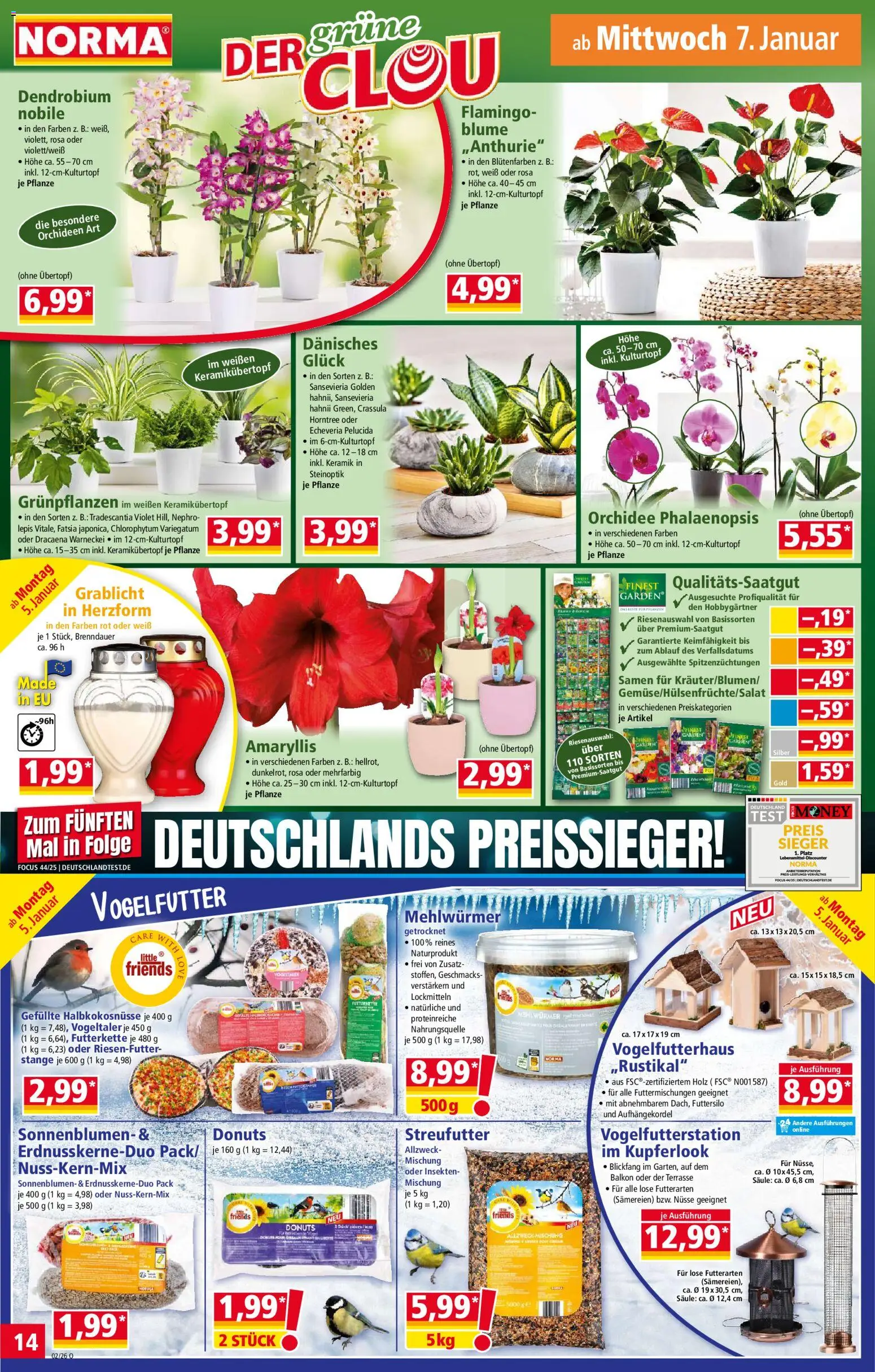 Norma Prospekt 	 – gültig ab 05.01.2026 | Seite: 14 | Produkte: Orchidee, Donuts, Nüsse