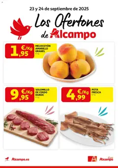 Vista previa Alcampo - Pasamanos  válido desde el 23.09.2025