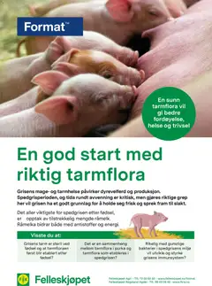 Forhåndsvisning av Felleskjøpet En god start med riktig tarmflora gyldig fra 02.01.2026