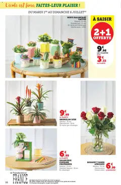  | Page: 16 | Produits: Plantes