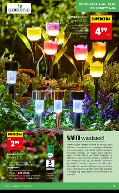 Pogląd oferty "Lampa solarna tulipan LED*, Lampa solarna tulipan LED, wys.: ok. 30 cm, barwa światła: ciepła biała, różne wzory i kolory" - ważna od 23.03.2026 | Strona: 19 | Produkty: Lampa solarna, Lampa