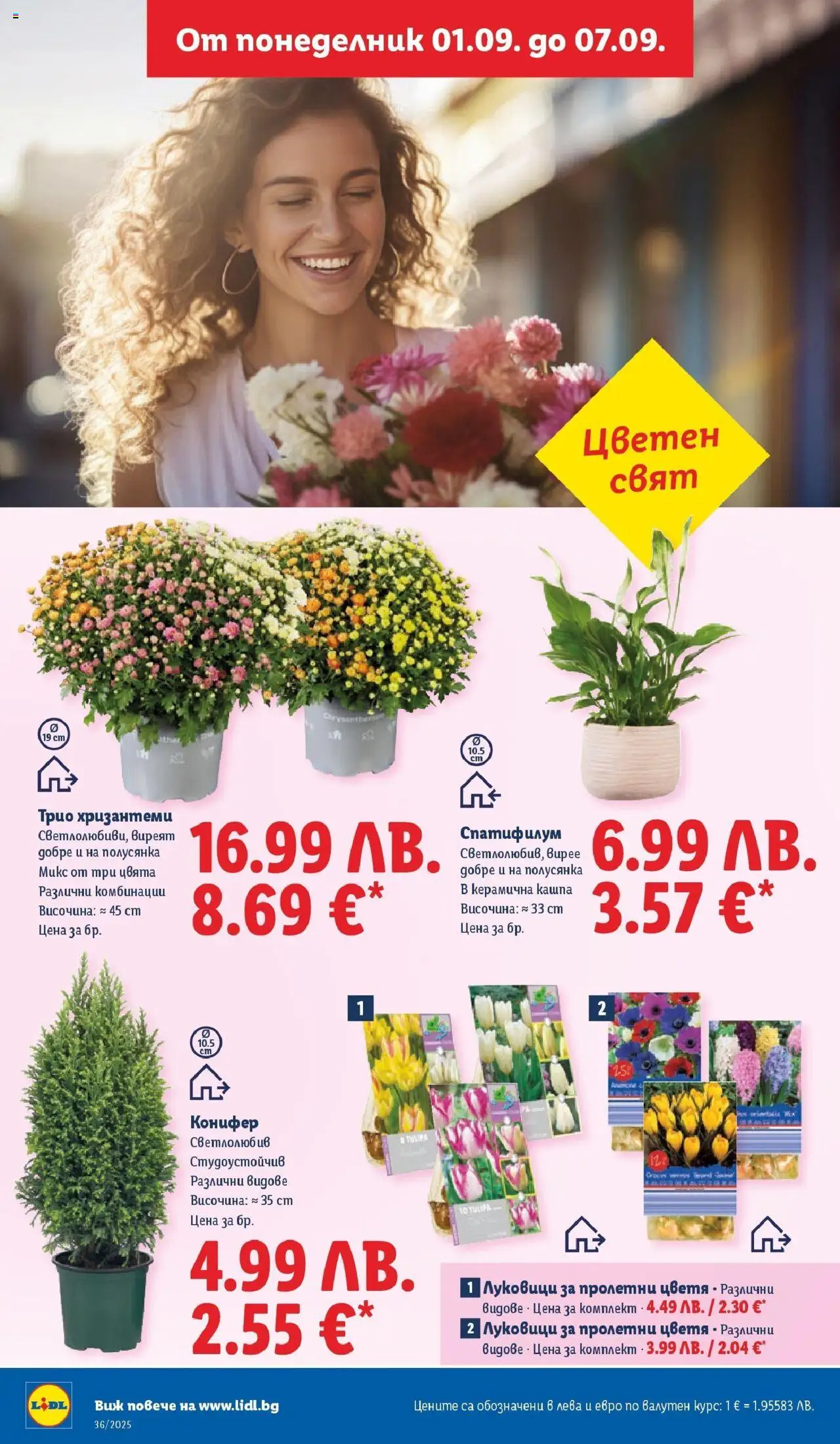 {H1} | Страница: 52 | Продукти: Кашпа