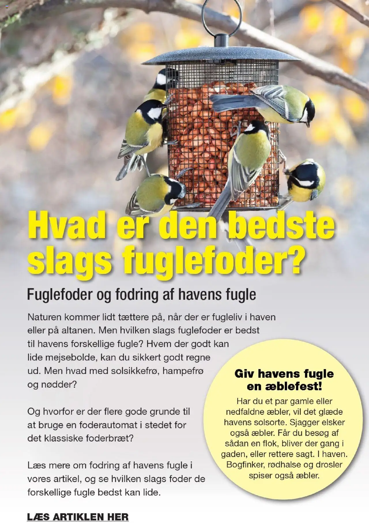 Harald Nyborg tilbudsavis – gyldig fra 16.10.2025 | Side: 24