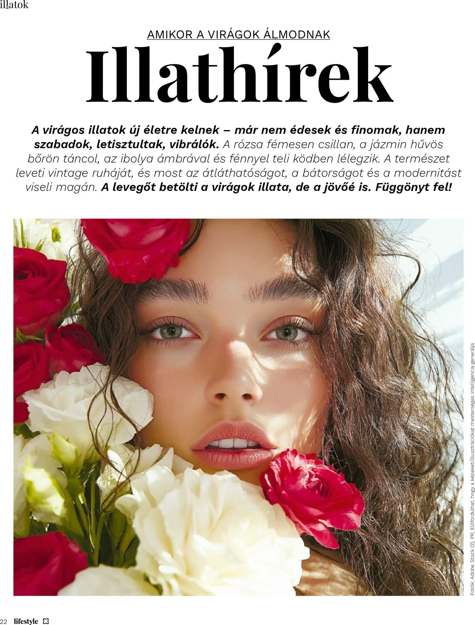 Müller akciós ujság - amely érvényes a következő dátumtól: 27.03.2026 | Oldal: 22 | Termékek: Virágok