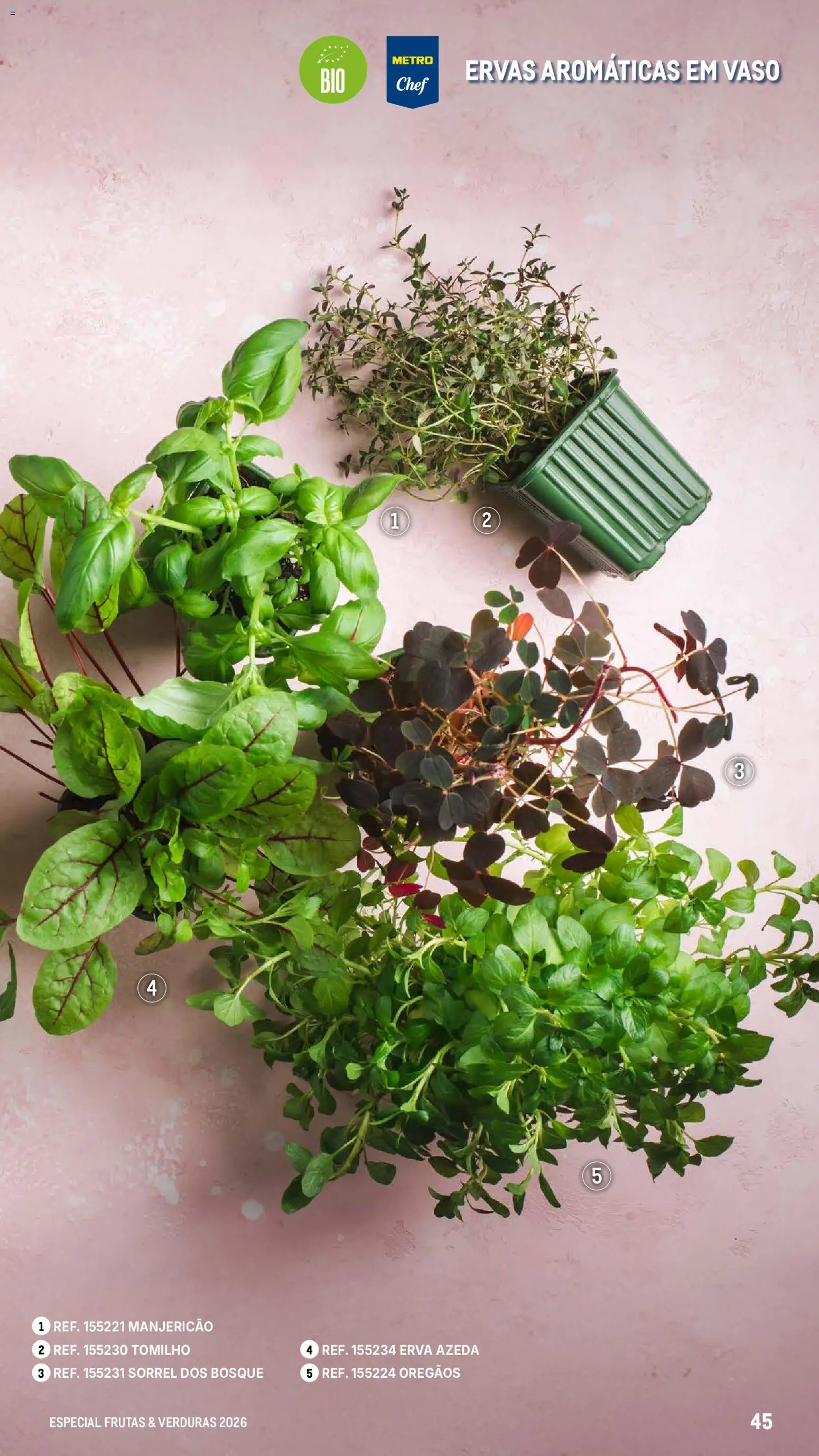 Makro Especial Frutas e Verduras 2026 │ válido de 06.03.2026 | Página: 45 | Produtos: Orégãos, Vaso