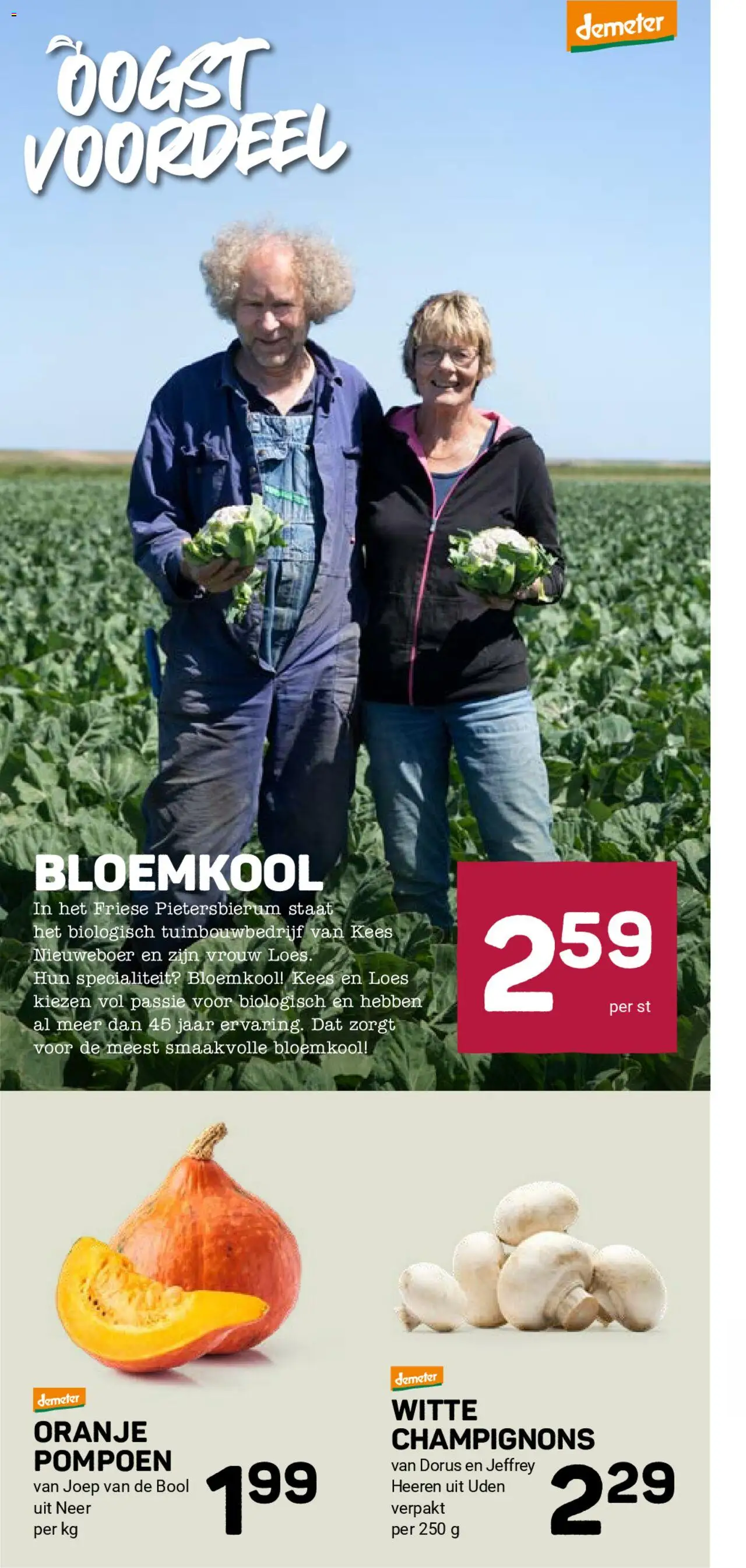  | Pagina: 12 | Producten: Pompoen, Bloemkool