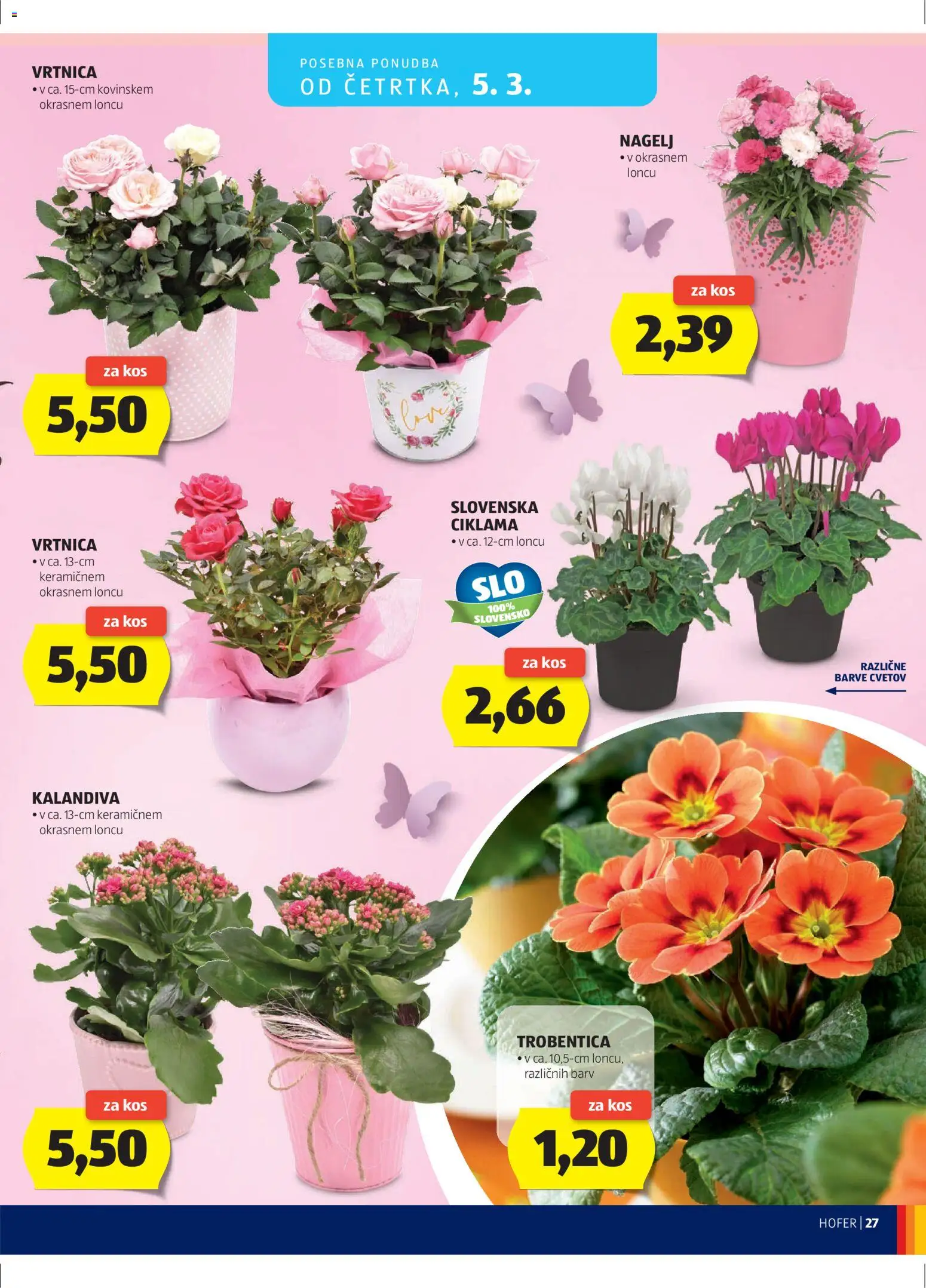 Hofer SI katalog | vrijedi od 25.02.2026 | Stranica: 27