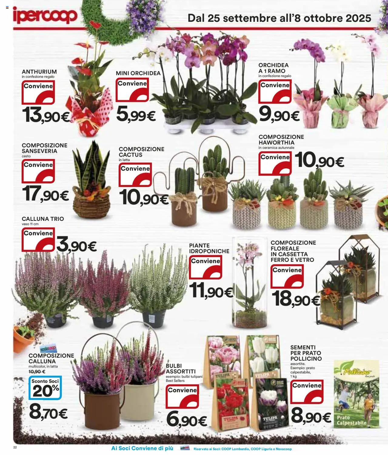 Volantino Ipercoop del 25.09.2025 | Pagina: 22 | Prodotti: Cactus, Orchidea, Vaso