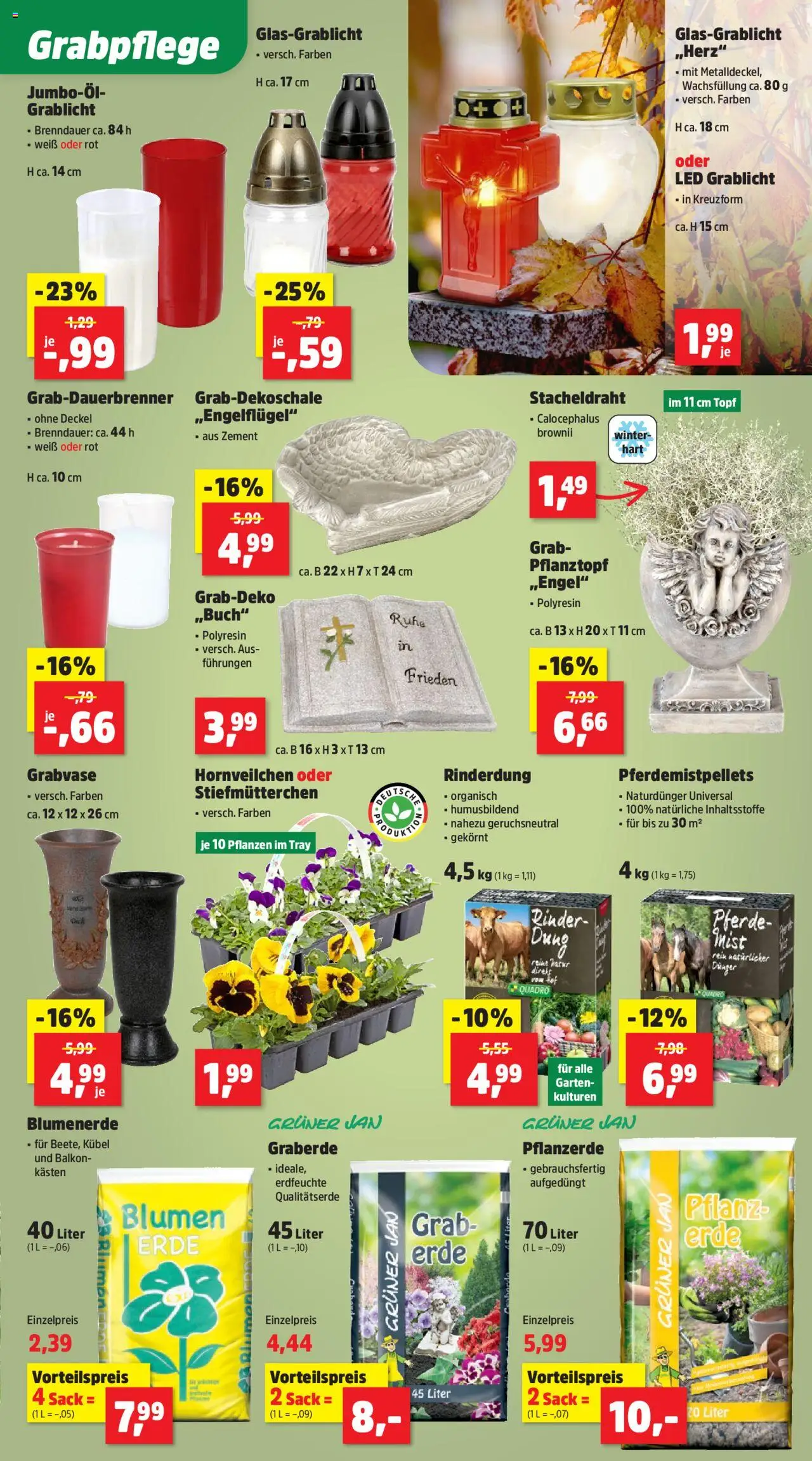 Thomas Philipps Prospekt – gültig ab 22.09.2025 | Seite: 3 | Produkte: Pflanzerde, Stiefmutterchen, Blumen, Blumenerde