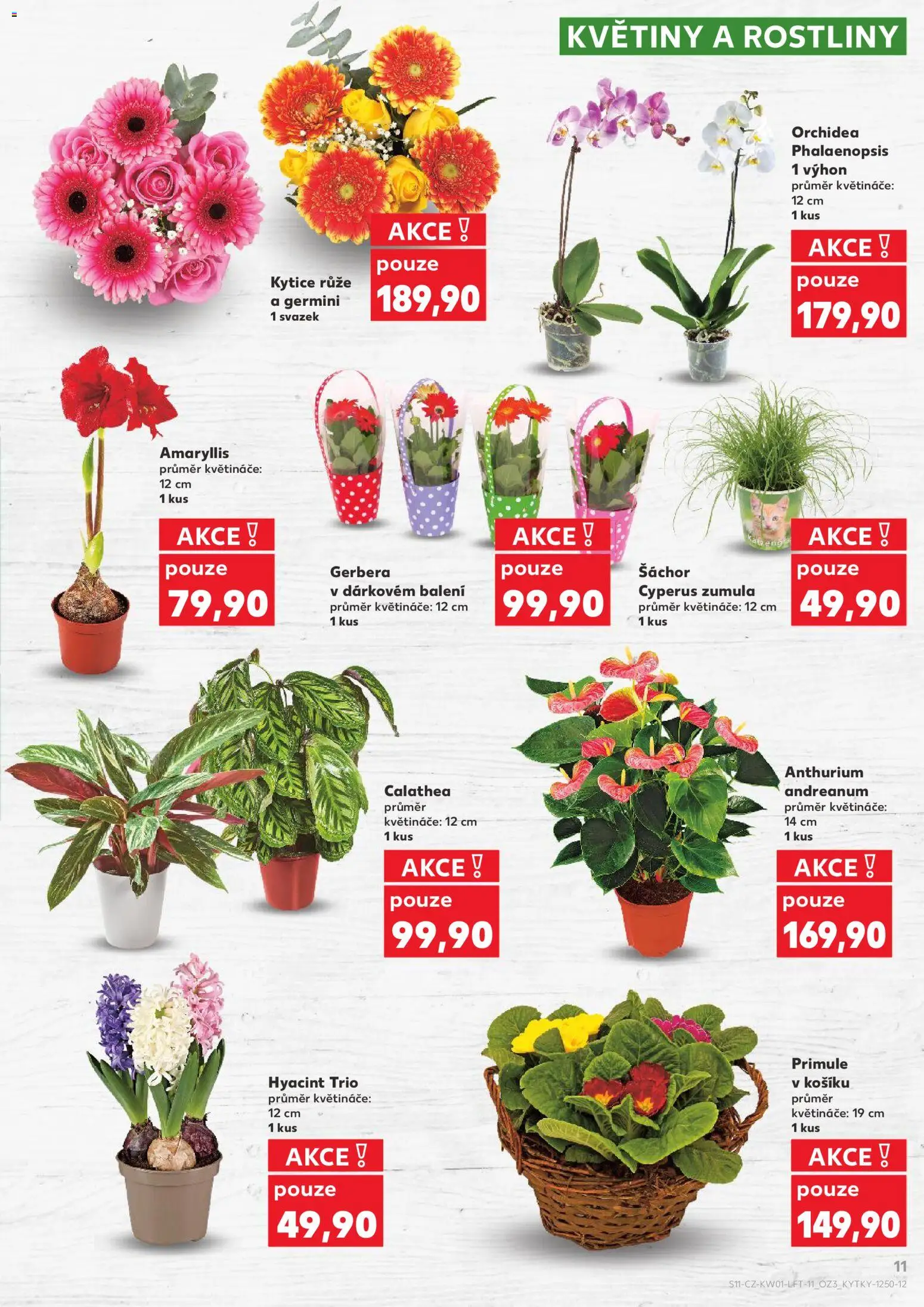 Kaufland leták - Praha 8 od 02.01.2026 | Strana: 11 | Produkty: Květináče, Rostliny, Kytice, Květiny