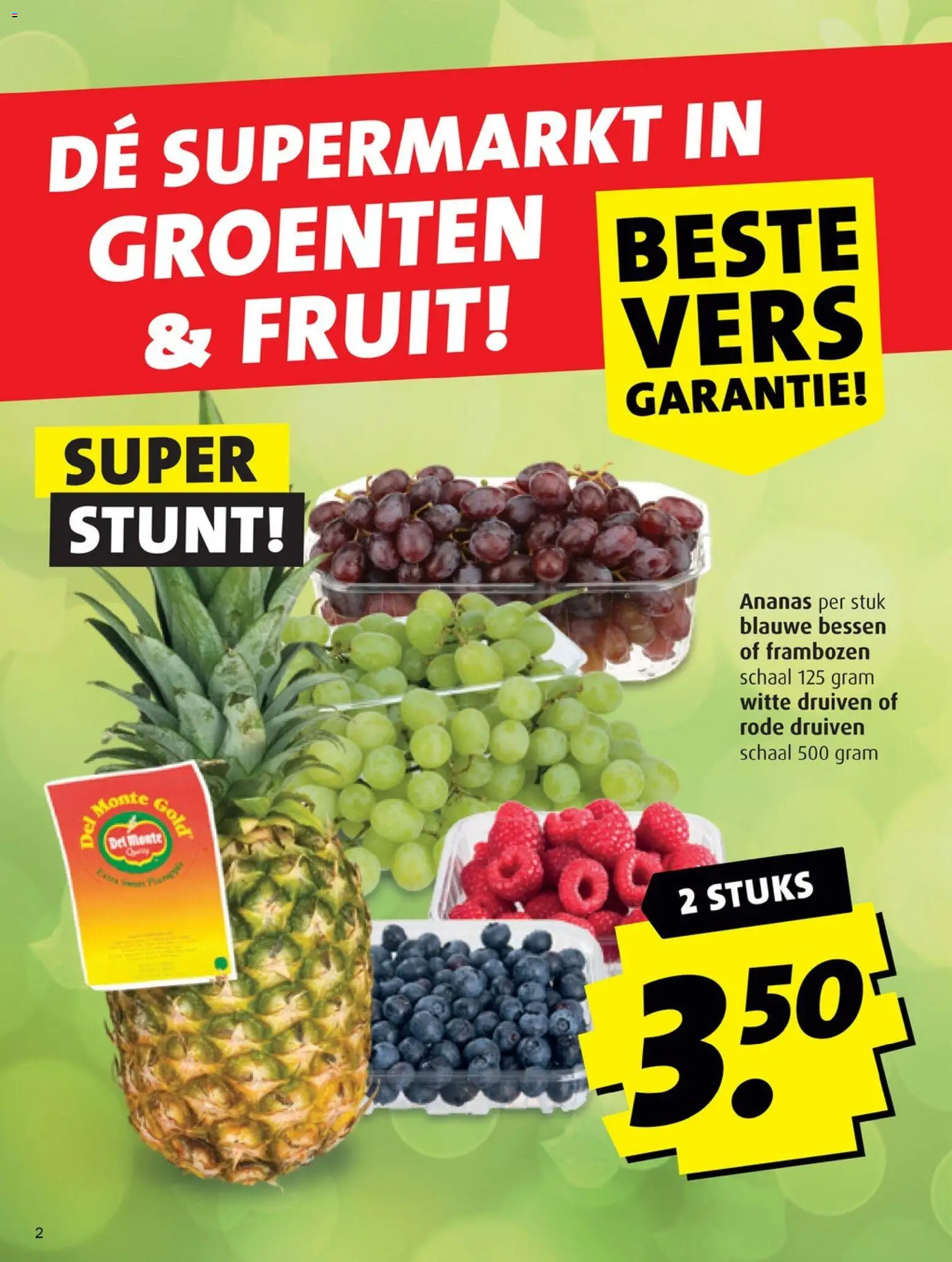 {H1} | Pagina: 2 | Producten: Ananas, Fruit, Groenten, Druiven