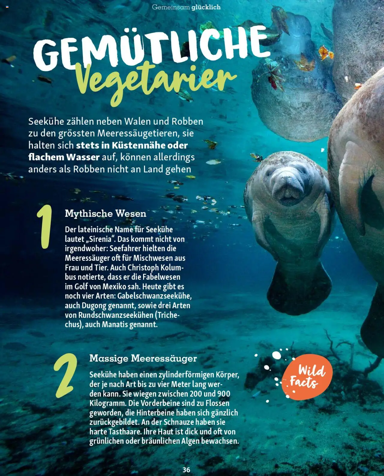 Fressnapf Magazin ab 01.07.2025 | Seite: 36 | Produkte: Wasser