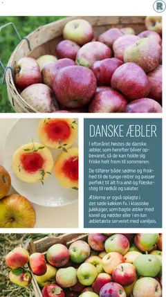 DANSKE ÆBLER, I efteråret høstes de danske æbler, som herefter bliver opbevaret, så de kan holde sig friske helt frem til sommeren. De tilfører både sødme og friskhed til de tunge retter og passer perfekt til alt fra and og flæskesteg til rødkål og salater. Æblerne er også oplagte i det søde køkken fx. i klassiske julekager, som bagte æbler med kanel og nødder eller i en lun æbletærte serveret med vaniljeis. gyldig fra 01.12.2025 | Side: 8 | Produkter: Æbler, Kanel, Nødder, Søm