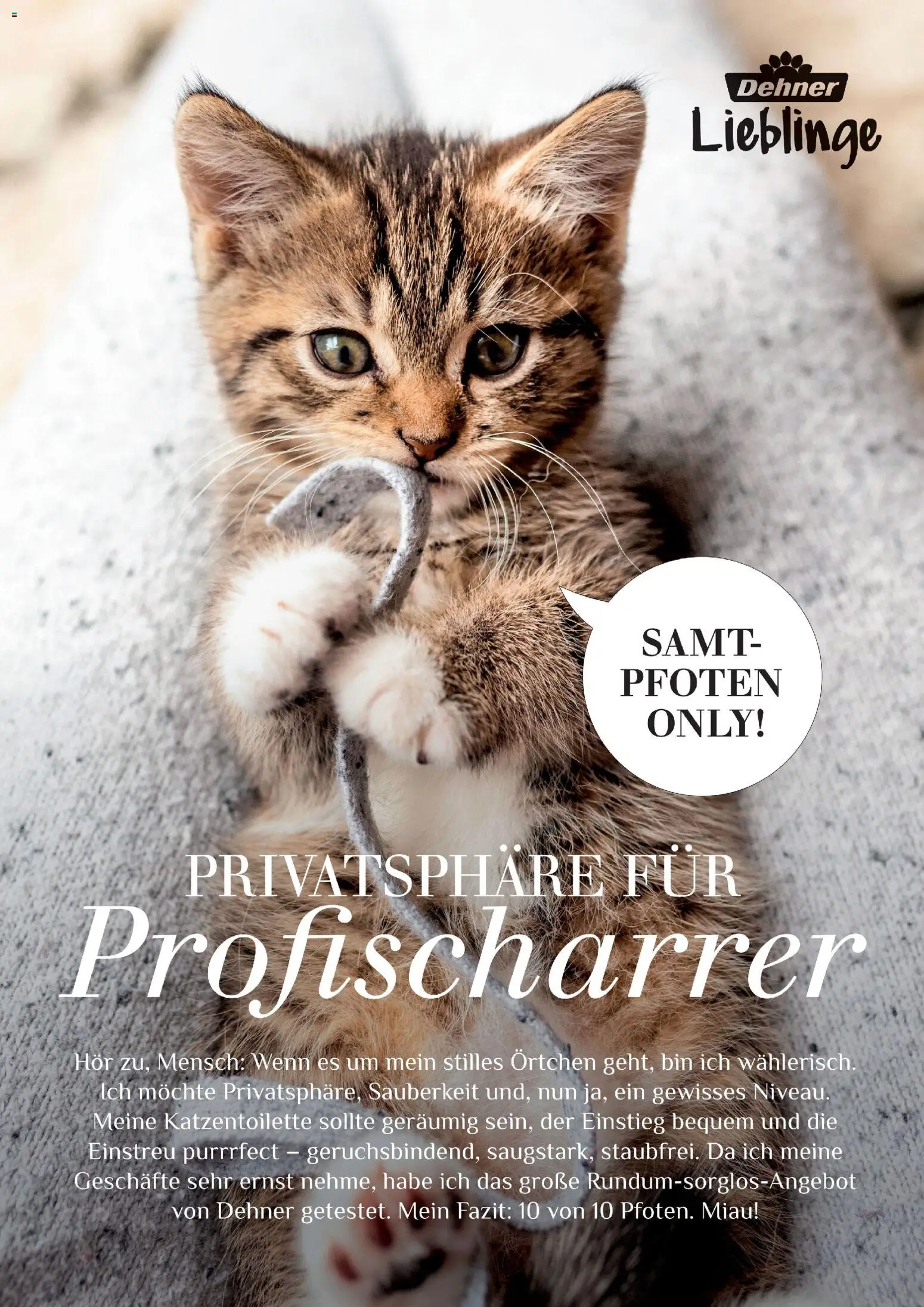 Dehner Flugblatt gültig ab 05.03.2026 | Seite: 87