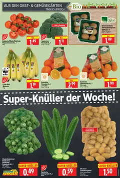 HERKULES Prospekt 	 ab 24.11.2025 gültig | Seite: 4