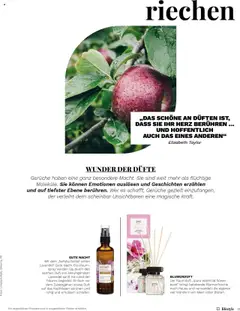Müller Magazin – gültig ab 12.09.2025 | Seite: 21 | Produkte: Kopfkissen, Duft
