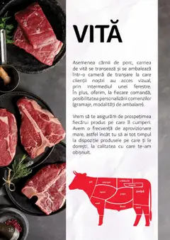 Ofertele Selgros valabile de la 27.04.2023 | Pagină: 18 | Produse: Cameră, Rasol, Fleică