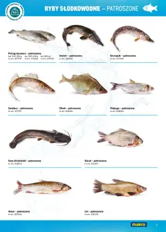 Makro Gazetka - Ryby i owoce morza od 01.05.2025 | Strona: 7 | Produkty: Pstrąg tęczowy, Sandacz, Pstrąg, Ryby
