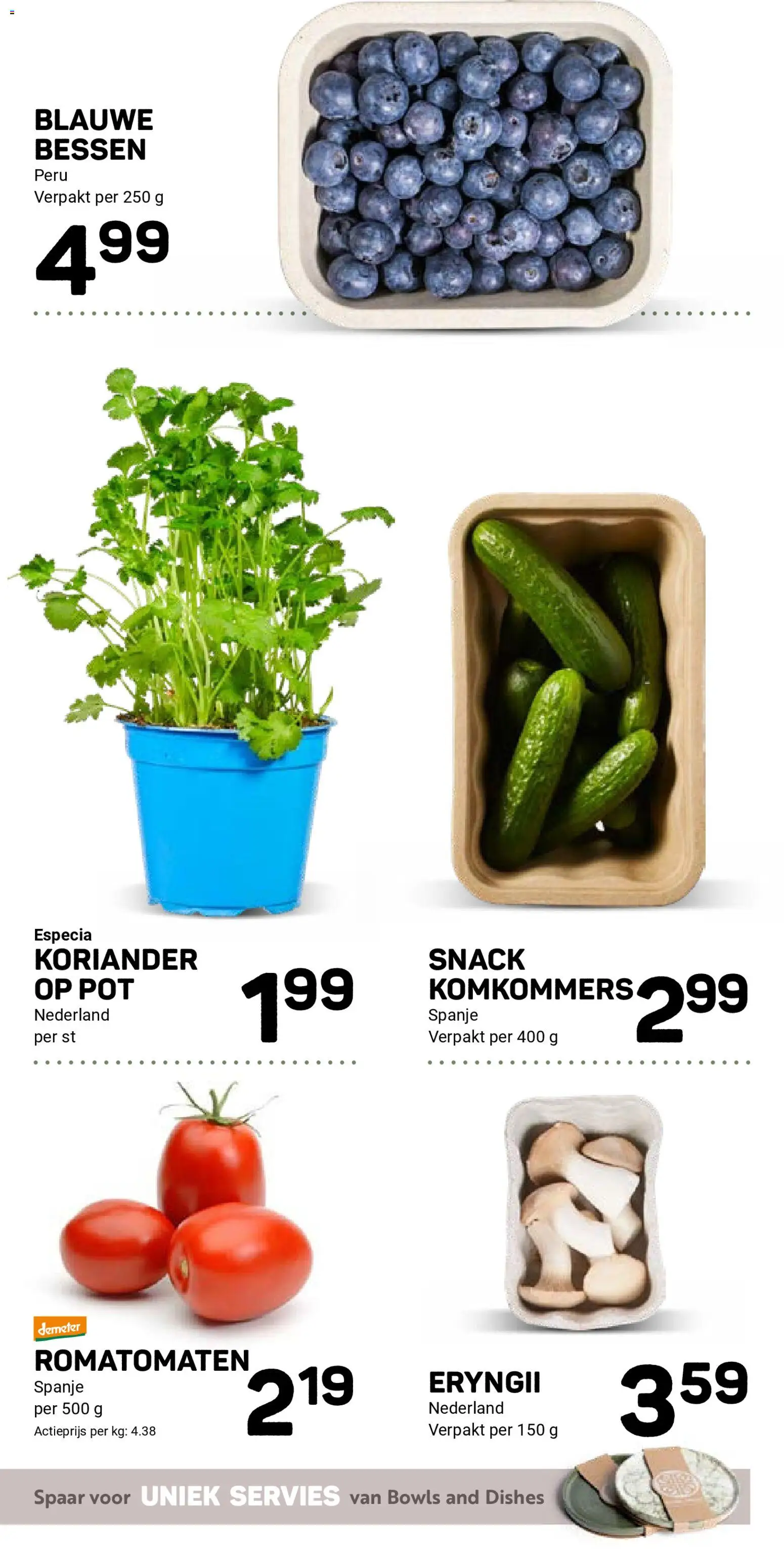 {H1} | Pagina: 13 | Producten: Servies, Pot, Komkommers, Koriander