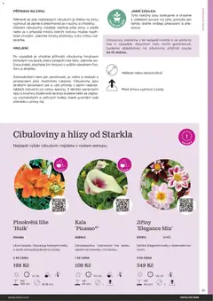 Náhled letáku Starkl katalog od 25.02.2026 | Strana: 81 | Produkty: Hra, Rostliny, Hnojivo, Cibule