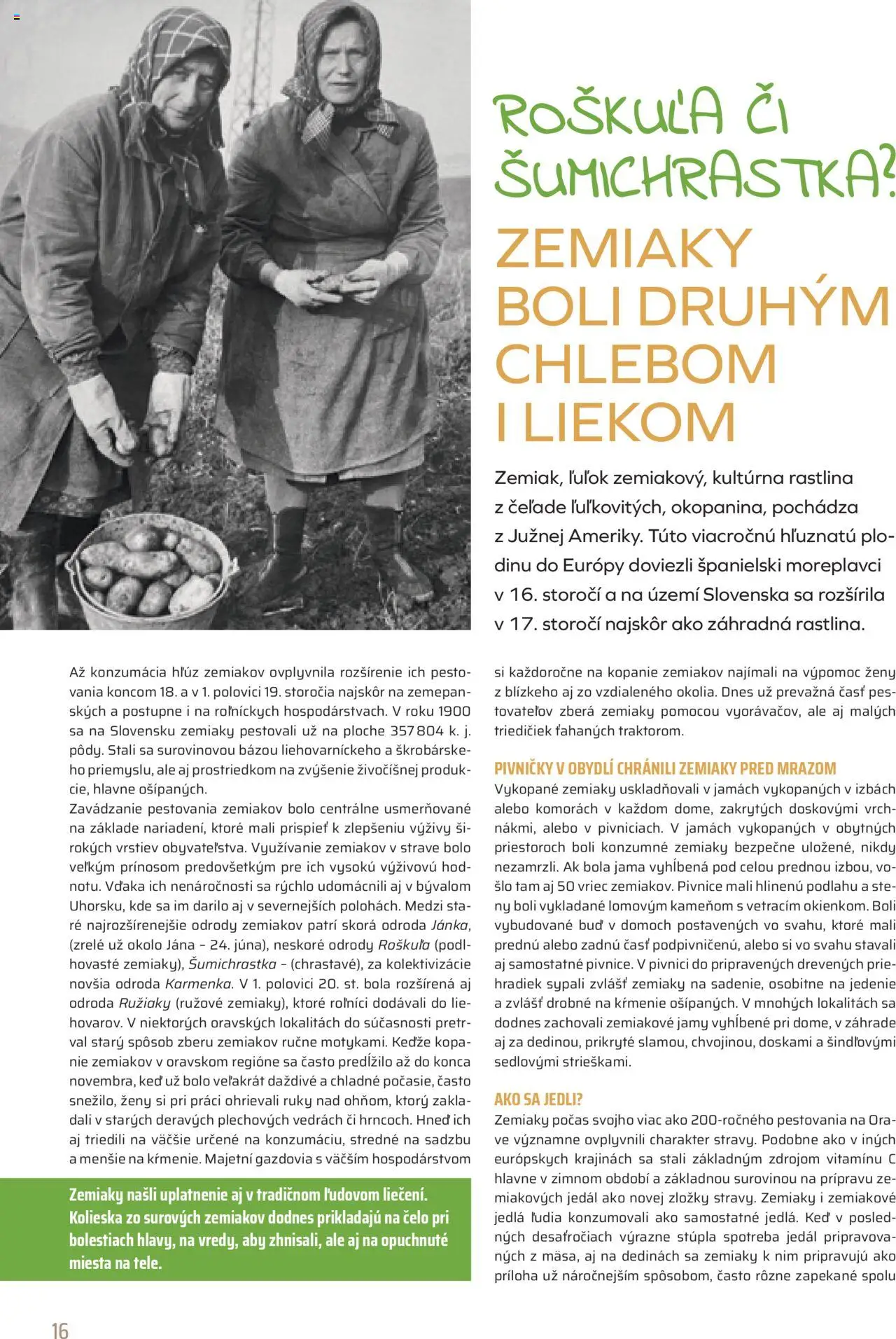 Nové COOP Jednota akcie – leták je platný od 01.10.2025 | Strana: 16 | Produkty: Zemiaky