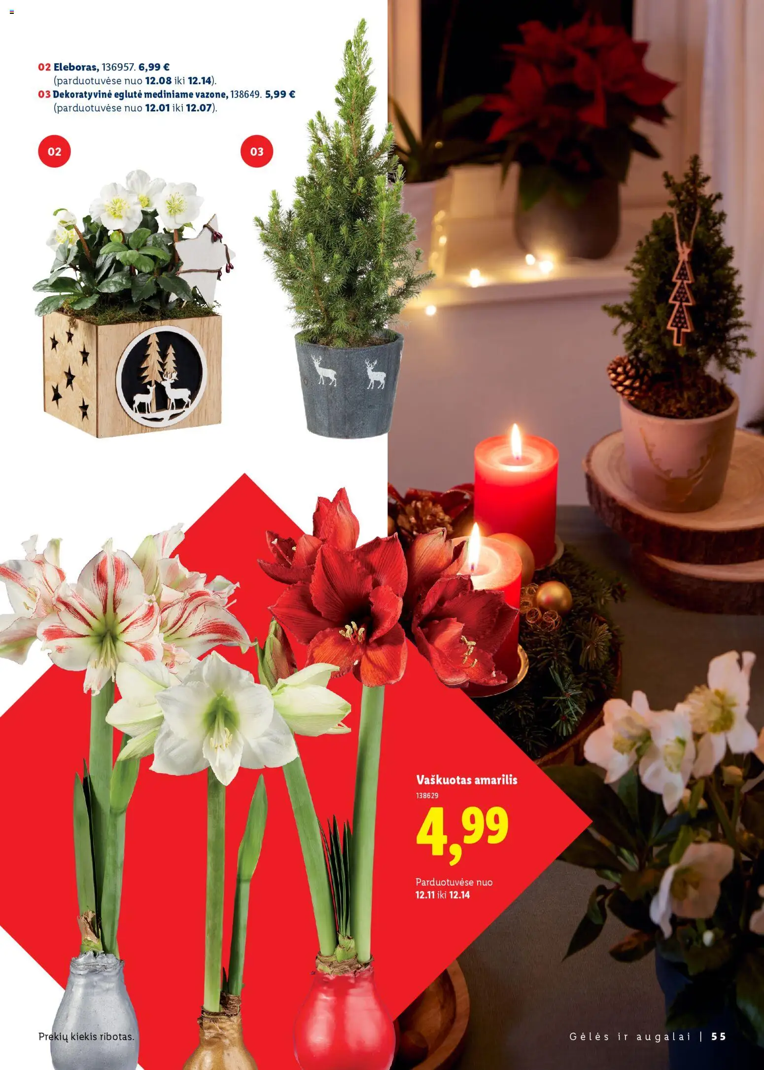 LIDL akcijos nuo 23.11.2025 | Puslapis: 55