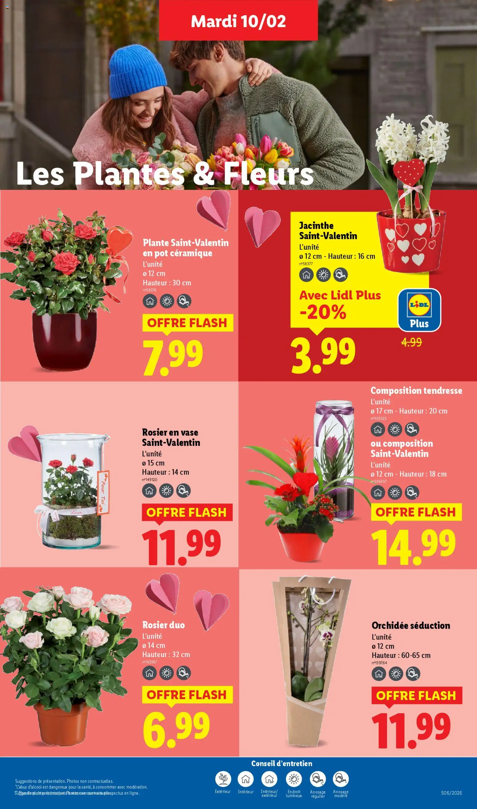 {H1} | Page: 29 | Produits: Rosier, Plantes, Orchidée, Vase