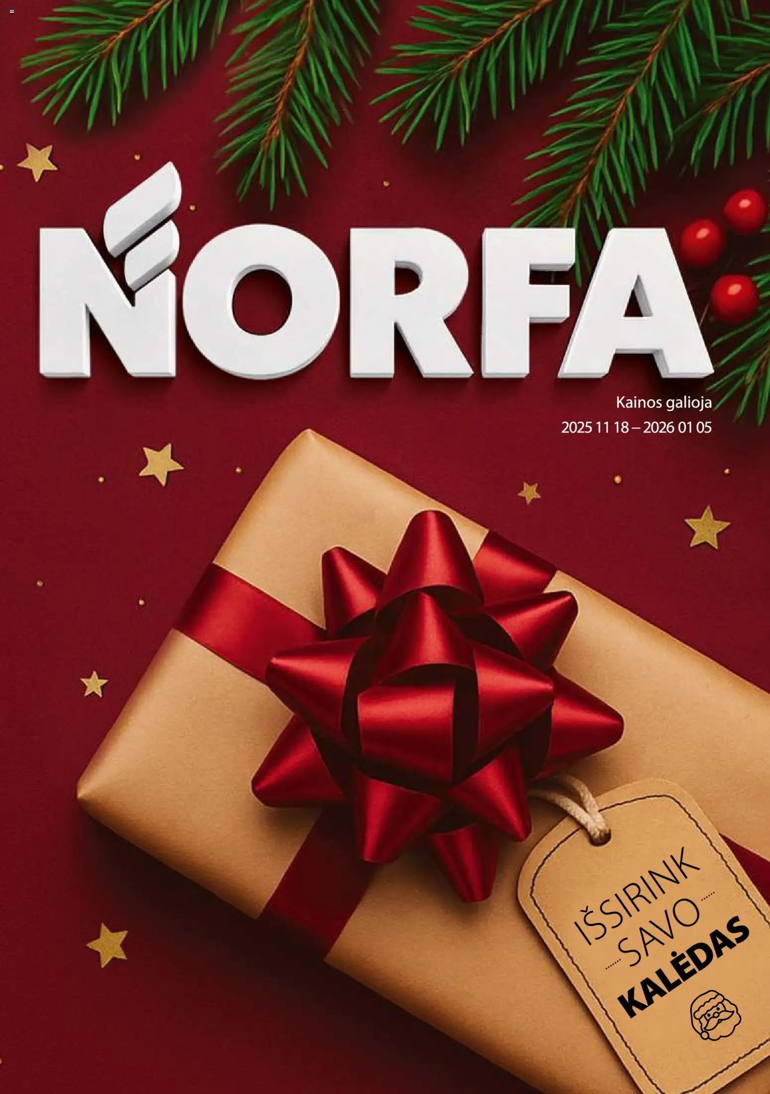 NORFA akcijos nuo 18.11.2025 | Puslapis: 1