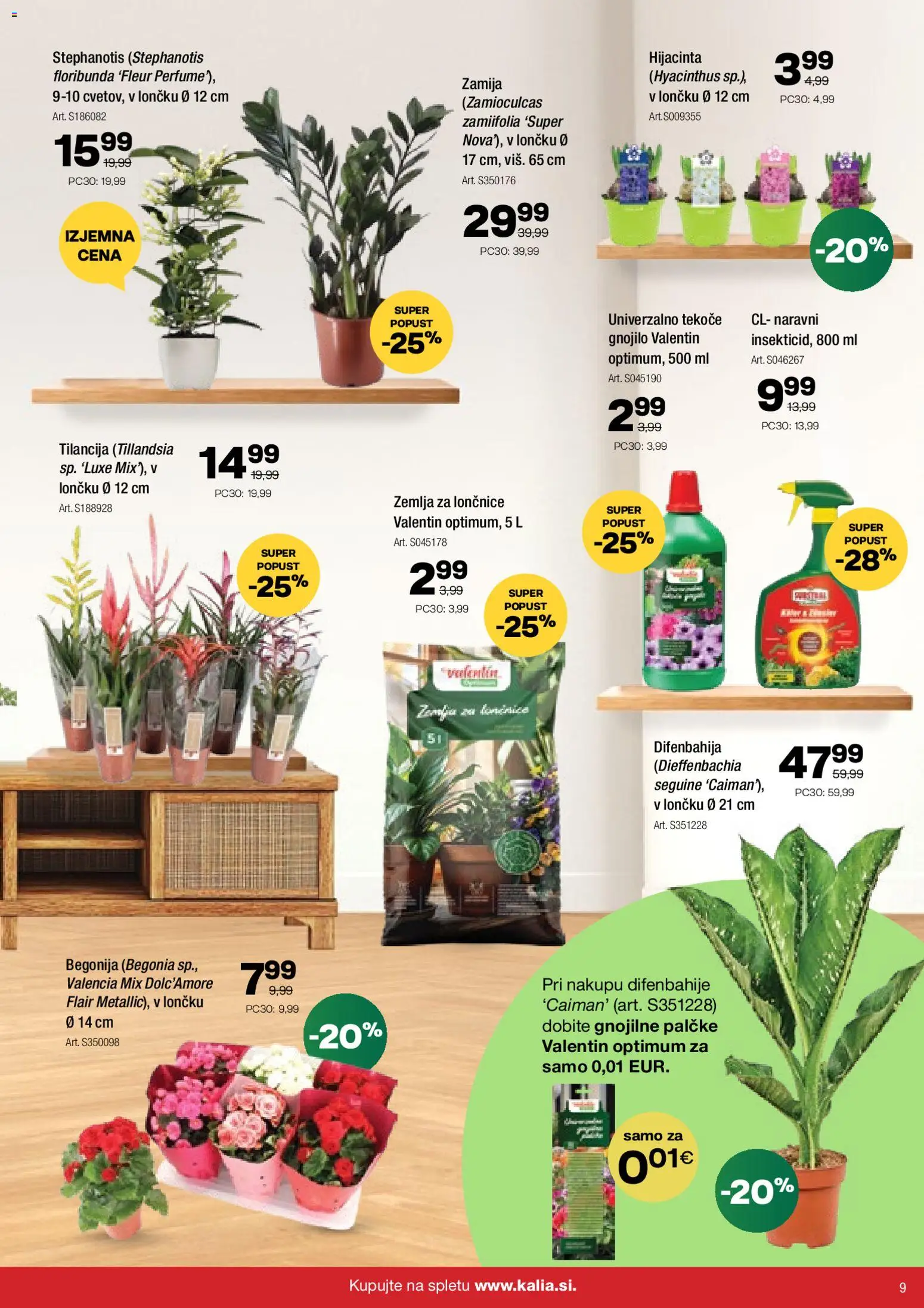 Novi Kalia katalog ponudbe – veljaven od 12.01.2026 | Stran: 9 | Izdelki: Žemlja, Lončnice