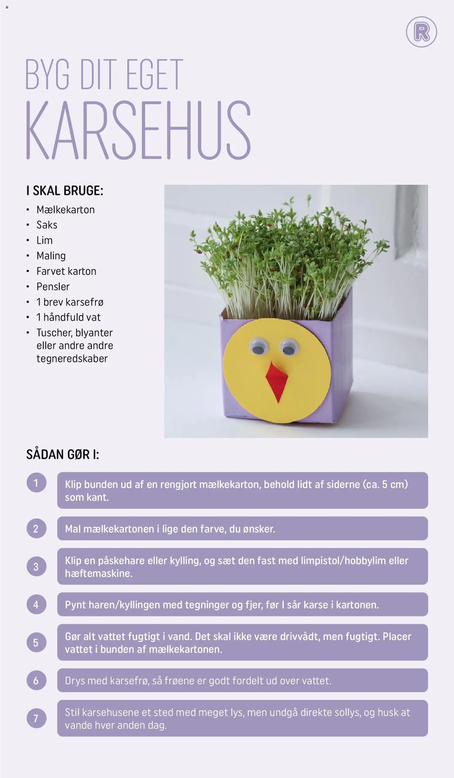 Rema 1000 tilbudsavis – gyldig fra 17.03.2026 | Side: 17 | Produkter: Karse, Søm, Maling, Pensler