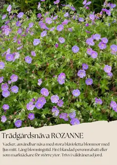 Plantagen reklamblad aktuell från 01.08.2025 | Sida: 5 | Produkter: Ljus