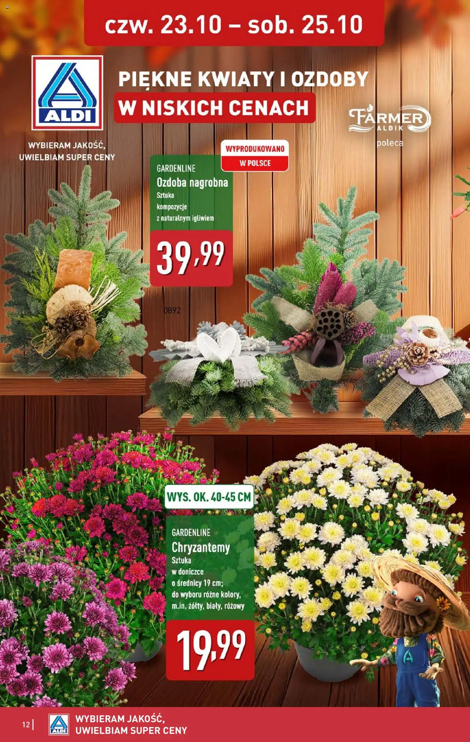 Aldi Gazetka - Okazje na weekend od 23.10.2025 | Strona: 12 | Produkty: Chryzantemy, Kwiaty