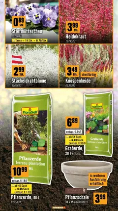 Hornbach Flugblatt ab 01.10.2025 gültig | Seite: 3 | Produkte: Öl
