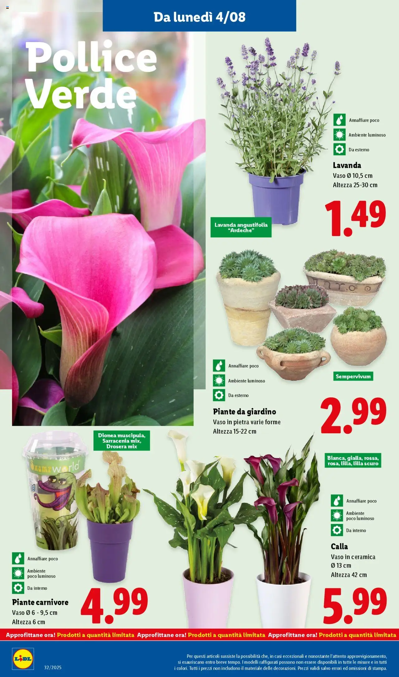 Volantino Lidl del 04.08.2025 | Pagina: 36 | Prodotti: Lavanda, Vaso
