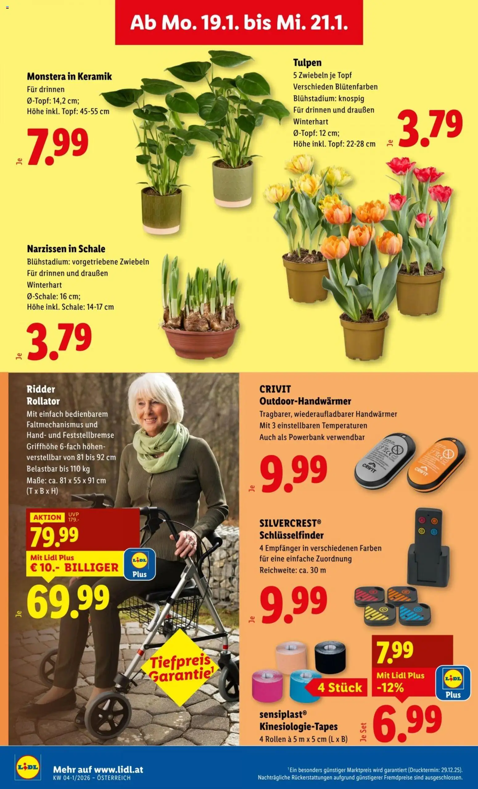 Lidl Flugblatt gültig ab 15.01.2026 | Seite: 37 | Produkte: Zwiebeln