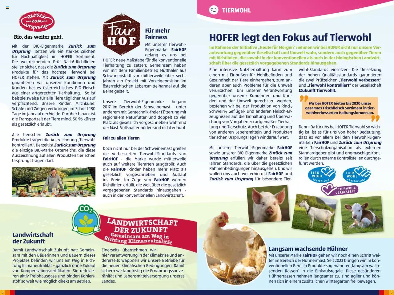 Hofer AT akciós ujság - amely érvényes a következő dátumtól: 23.07.2025 | Oldal: 7 | Termékek: Só