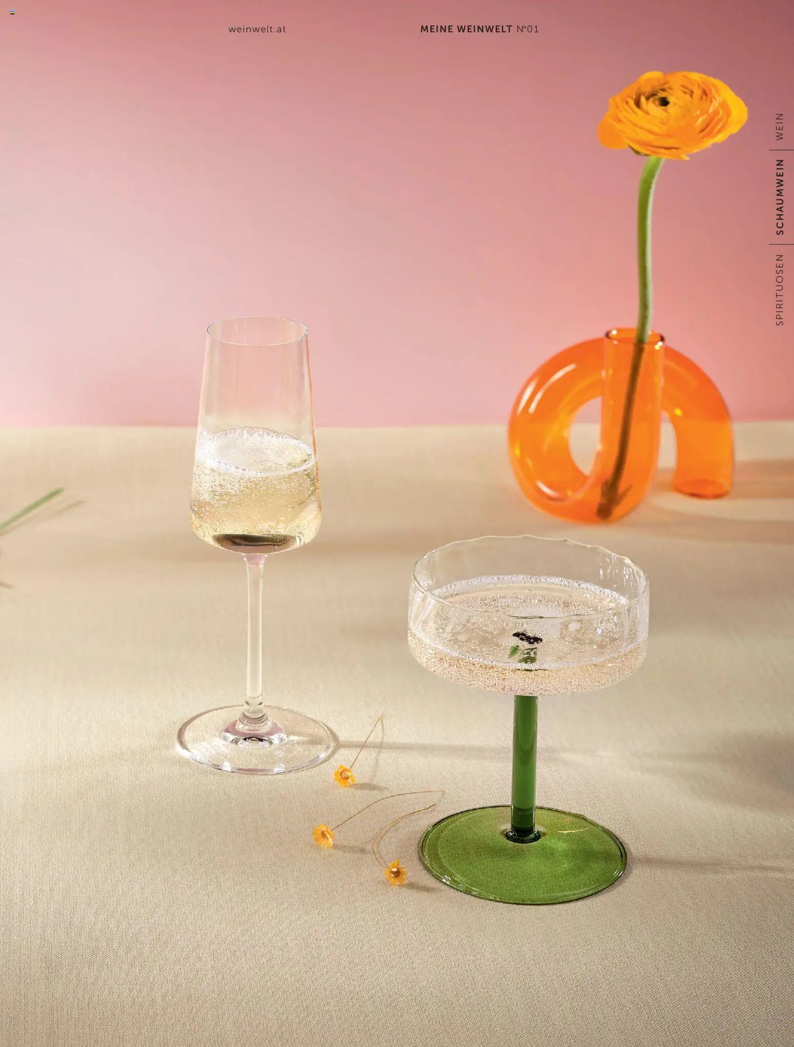 Interspar Meine Weinwelt Frühling 2026 gültig ab 05.03.2026 | Seite: 43 | Produkte: Wein