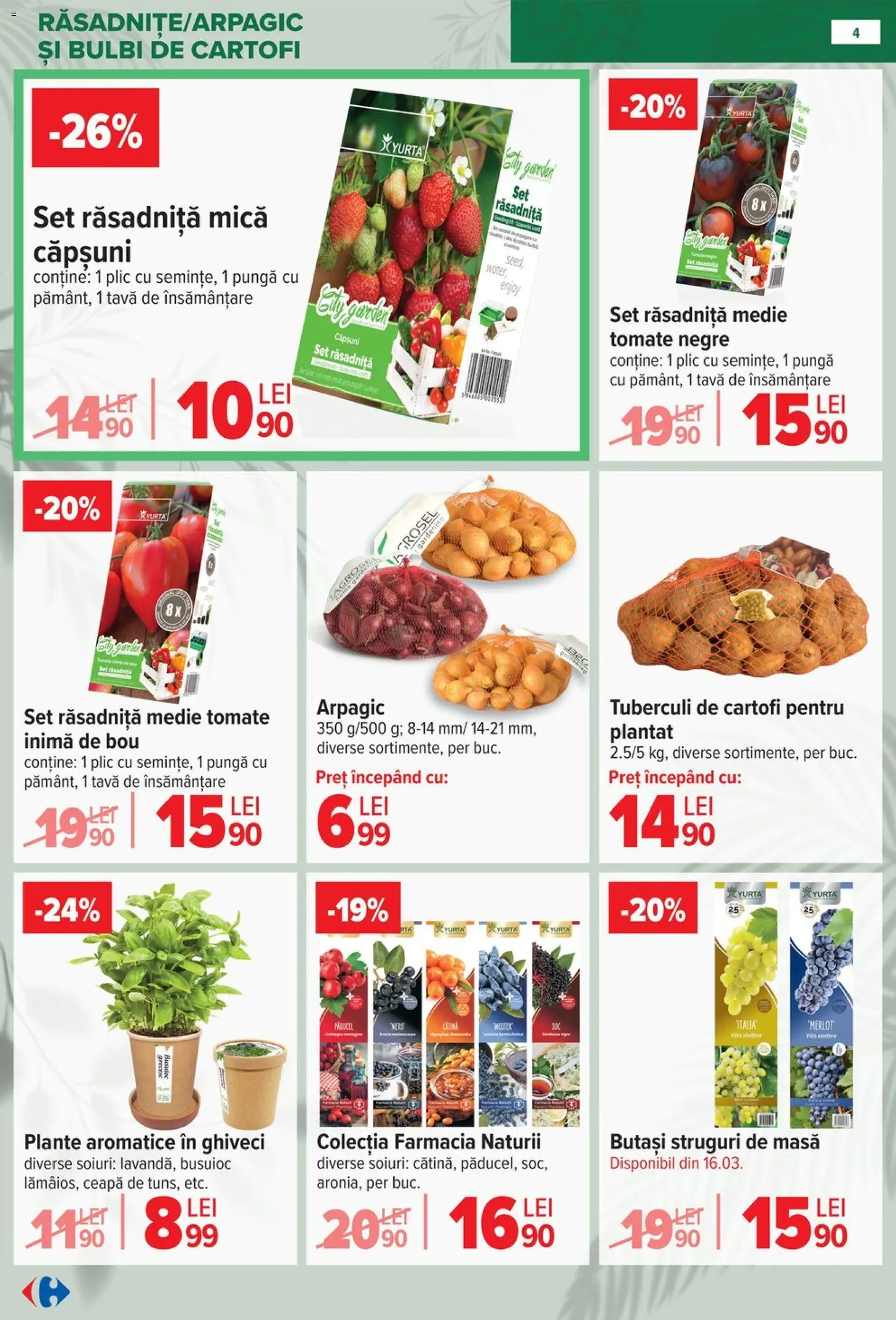Noul catalog Carrefour – valabil de la 11.02.2026 | Pagină: 4 | Produse: Pungă, Căpșuni, Cartofi, Ceapă