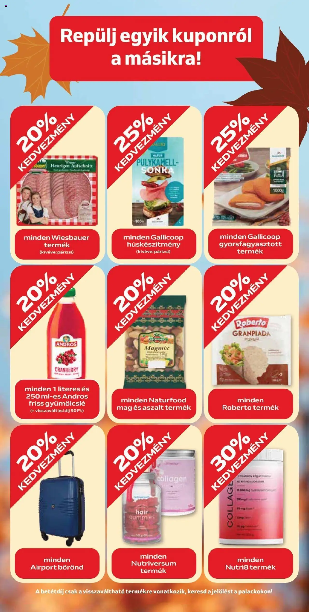Auchan akciós ujság - amely érvényes a következő dátumtól: 02.10.2025 | Oldal: 9 | Termékek: Bőrönd, Gyümölcslé, Sonka, Párizsi