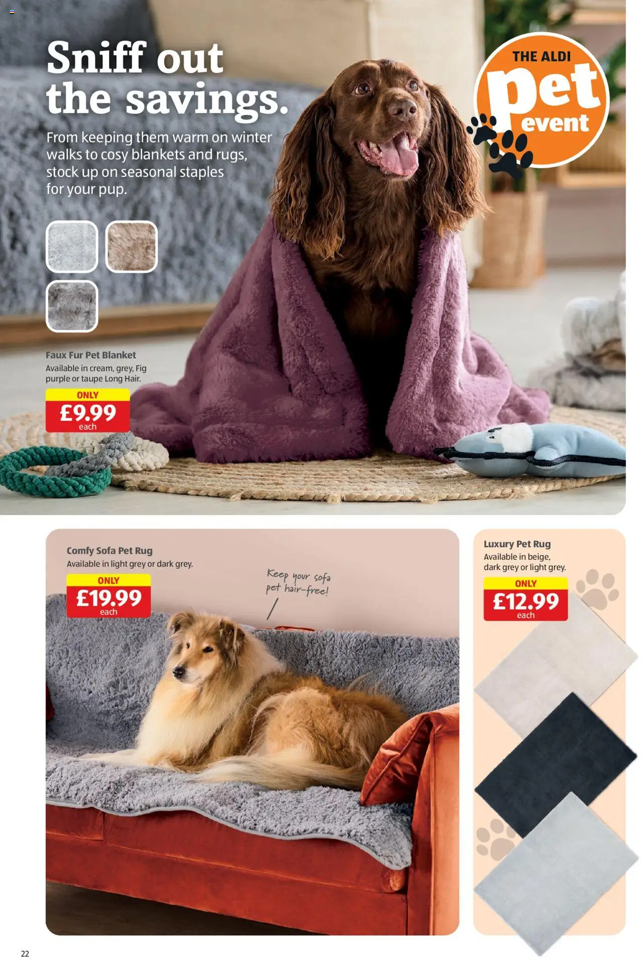  | Page: 22 | Products: Rug, Blanket, Sofa