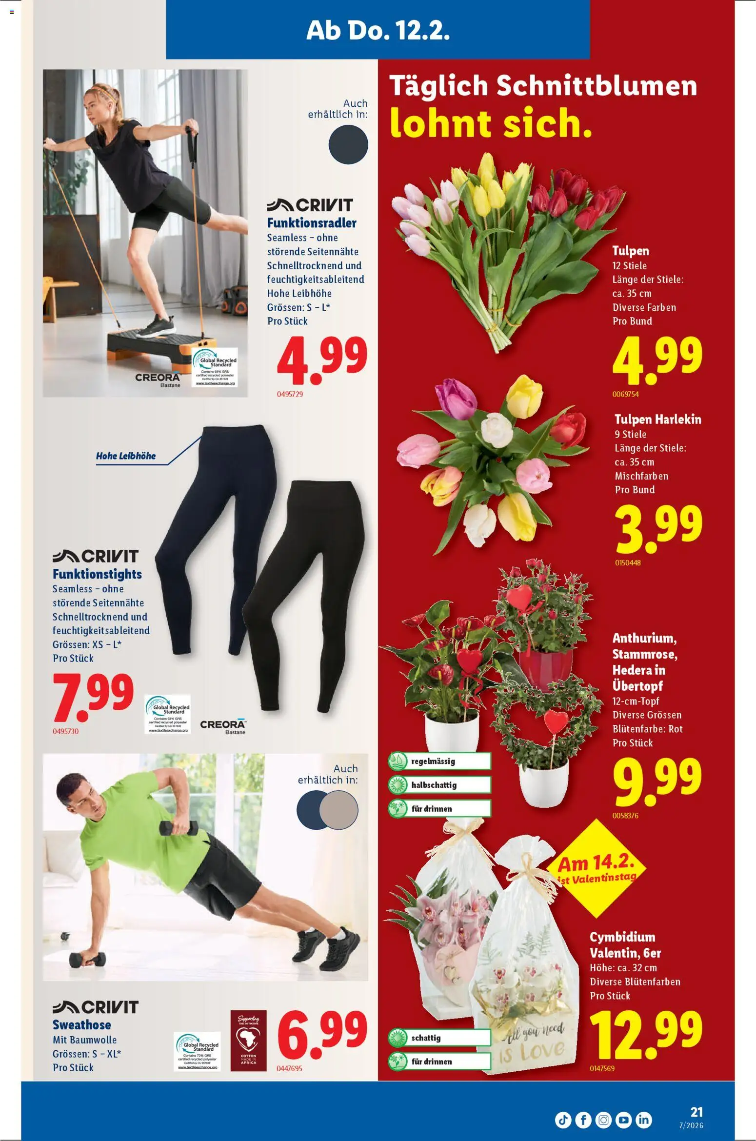 Lidl Aktionen – gültig ab 12.02.2026 | Seite: 21