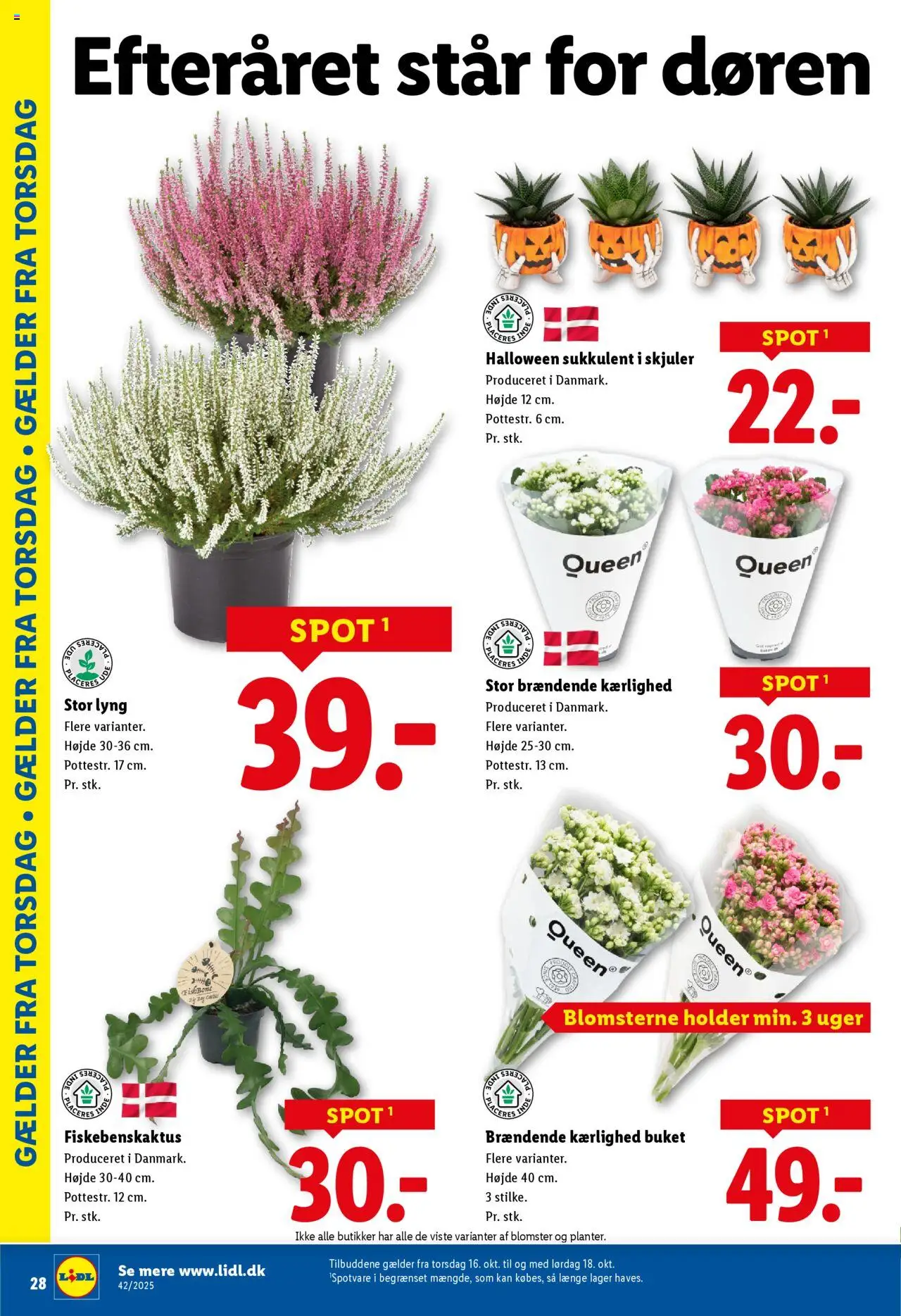 Lidl tilbudsavis – gyldig fra 12.10.2025 | Side: 6 | Produkter: Søm