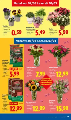 Lidl Folder week 10 - Voorbeeld van een folder van Lidl, geldig van 04.03.2026 | Pagina: 17 | Producten: Vaas, Pot
