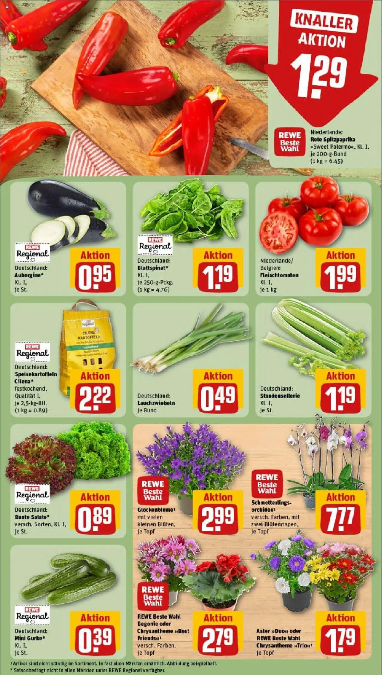 Rewe prospekt Soest	 - gültig ab dem 11.08.2025 | Seite: 5 | Produkte: Kartoffeln