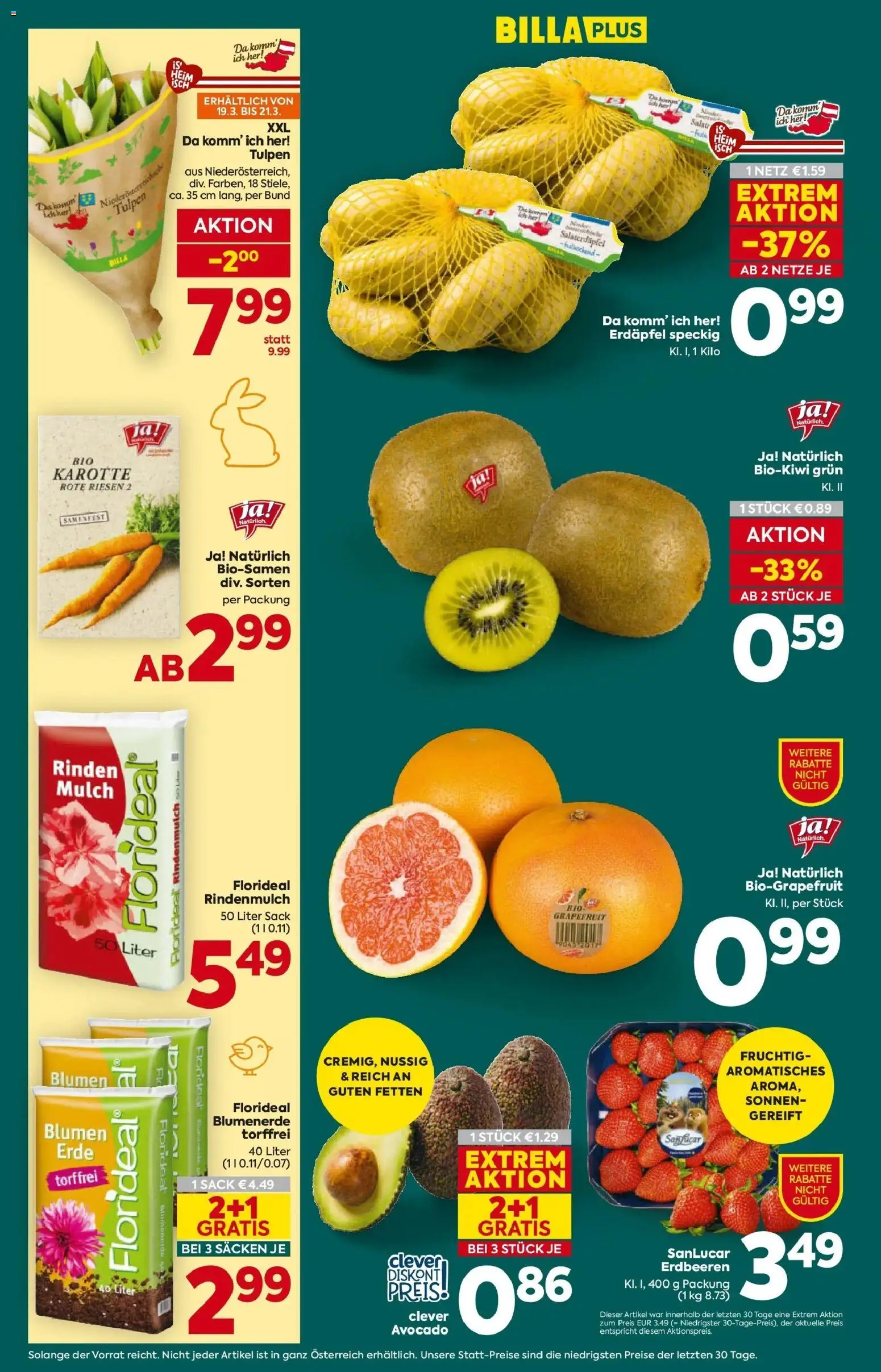 Billa Plus Flugblatt - Niederösterreich gültig ab 19.03.2026 | Seite: 10 | Produkte: Erdbeeren, Karotte, Salat, Avocado