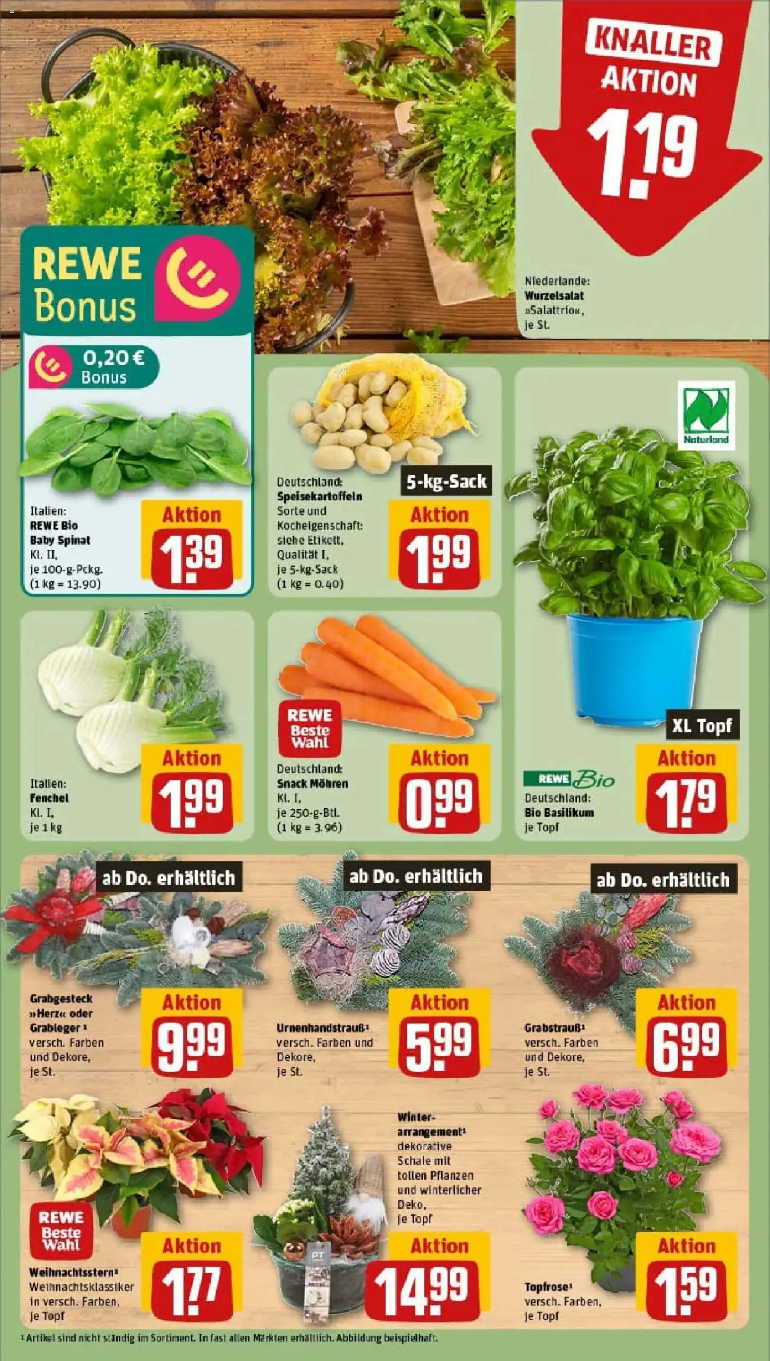 Rewe prospekt Neubrandenburg	 – gültig ab 10.11.2025 | Seite: 7 | Produkte: Mohren