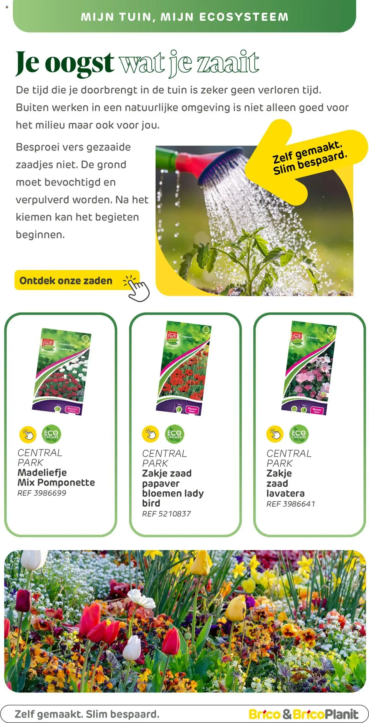  | Pagina: 163 | Producten: Bloemen, Kan