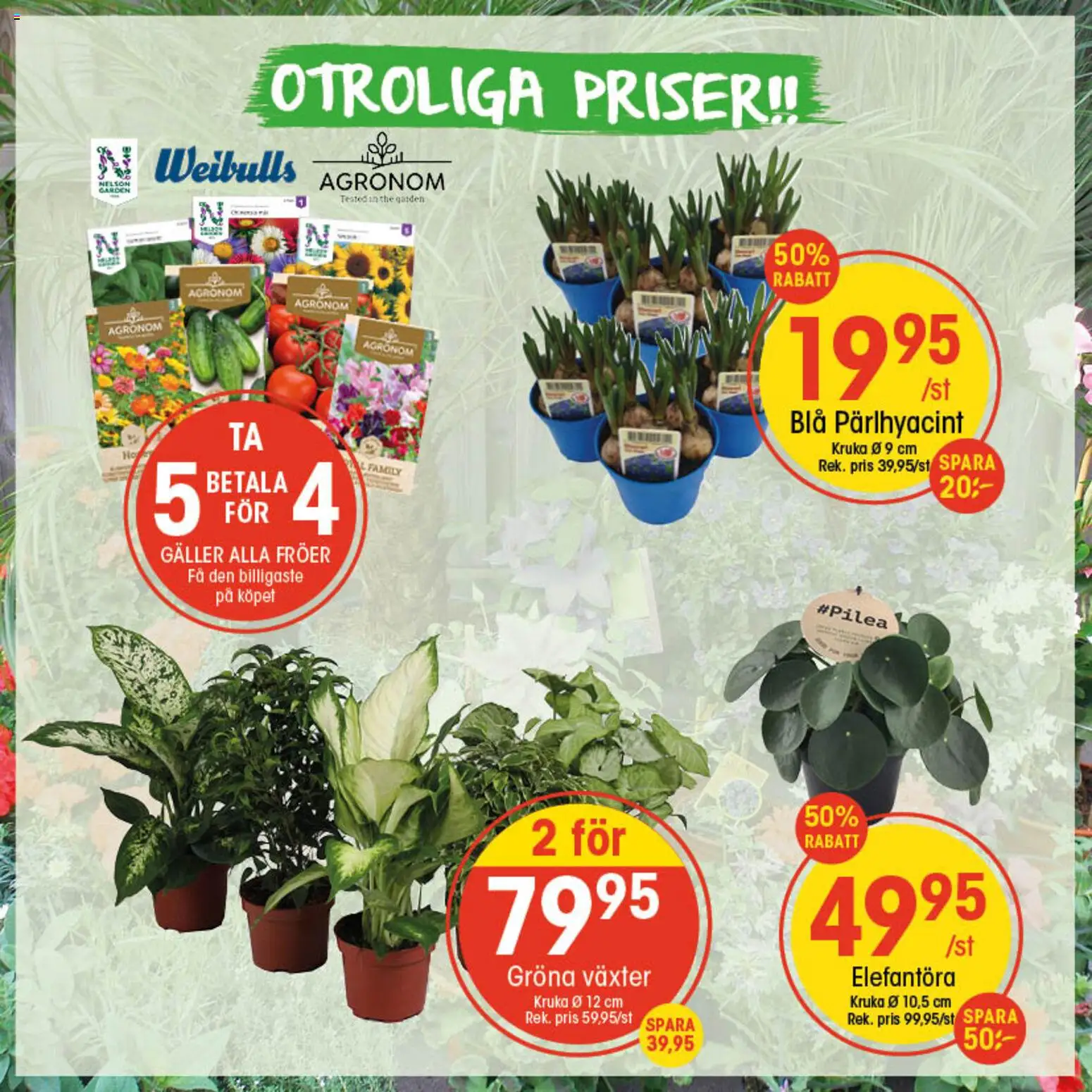 EKO reklamblad aktuell från 26.01.2026 | Sida: 2 | Produkter: Galler, Kruka