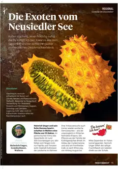 Billa  Frisch Gekocht ab 01.12.2025 gültig | Seite: 91