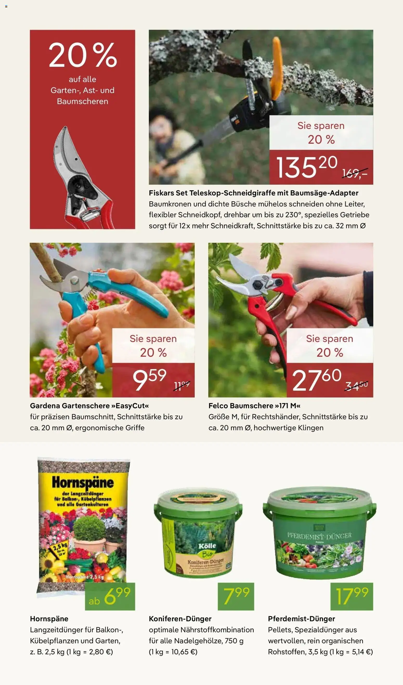 Pflanzen-Kölle - Pflanzen-Kölle: Weltfrauentag – gültig ab 02.03.2026 | Seite: 10